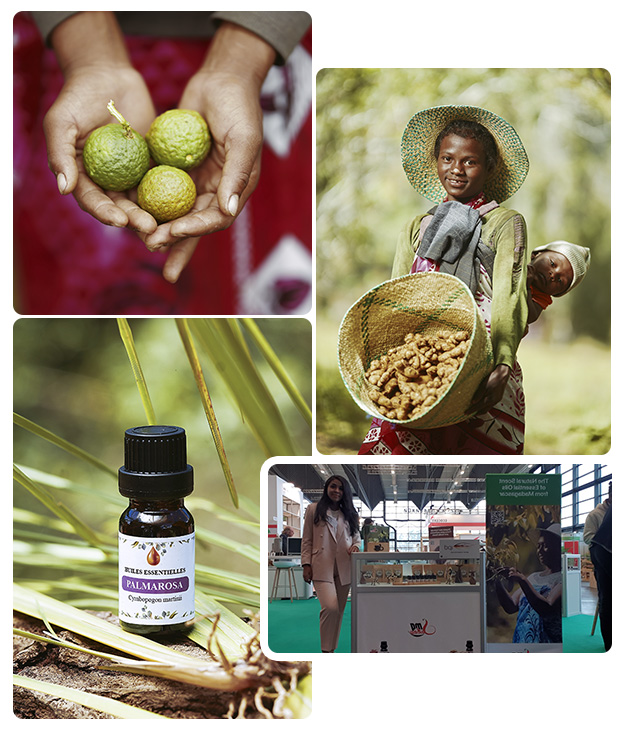 MGSAKAY-TEAM-Producteur-huiles-essentielles-pures-naturelles-et-biologiques